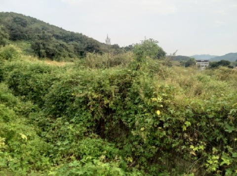 물건 사진 9