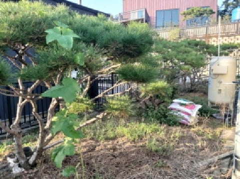 물건 사진 8