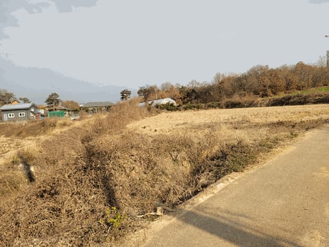 물건 사진 12