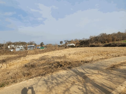 물건 사진 13