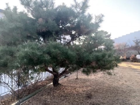 물건 사진 11
