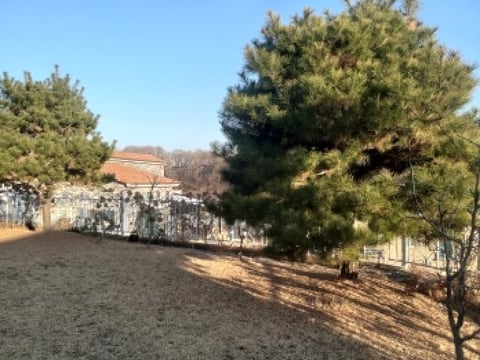 물건 사진 10