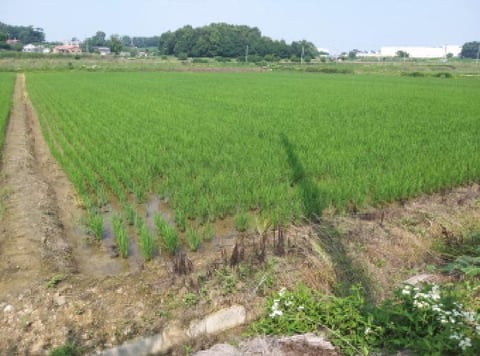 물건 사진 8
