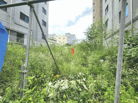 물건 사진 17