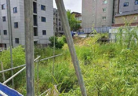 물건 사진 8