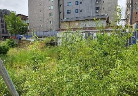 물건 사진 2