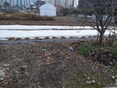 물건 사진 12