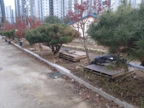 물건 사진 14