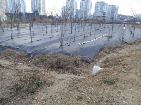 물건 사진 18
