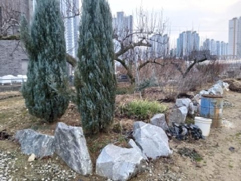 물건 사진 19