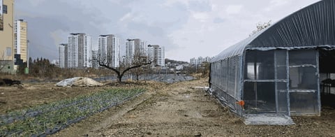 물건 사진 27