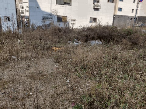 물건 사진 13