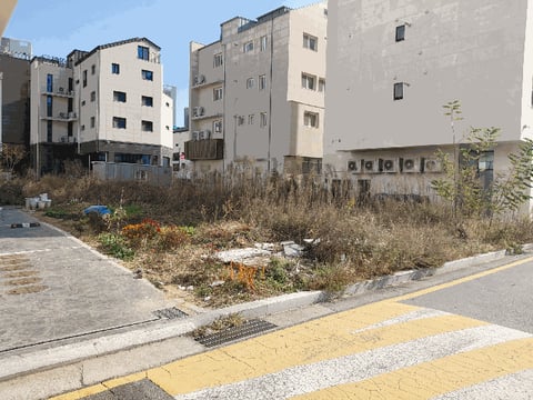 물건 사진 19
