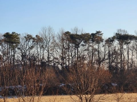 물건 사진 1