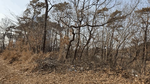 물건 사진 18