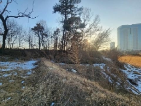물건 사진 3