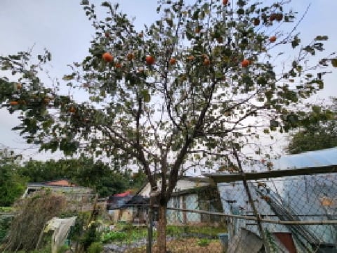 물건 사진 8