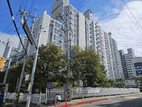 물건 사진 13