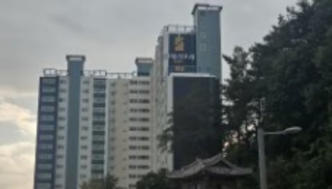 물건 사진 82
