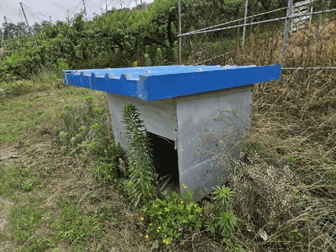 물건 사진 119