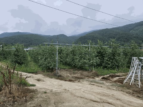 물건 사진 123