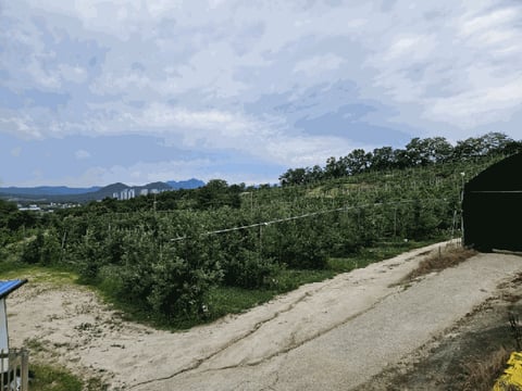 물건 사진 130
