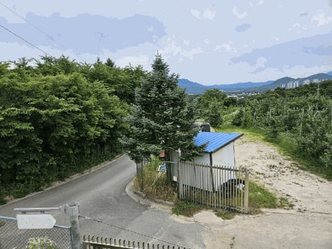 물건 사진 131