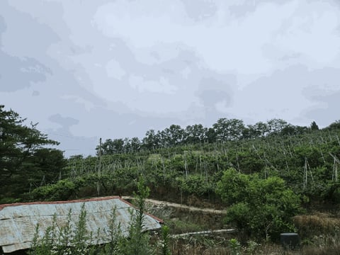 물건 사진 136