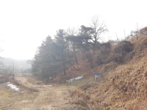 물건 사진 15