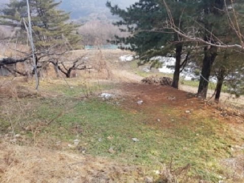 물건 사진 17