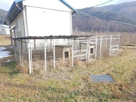 물건 사진 22