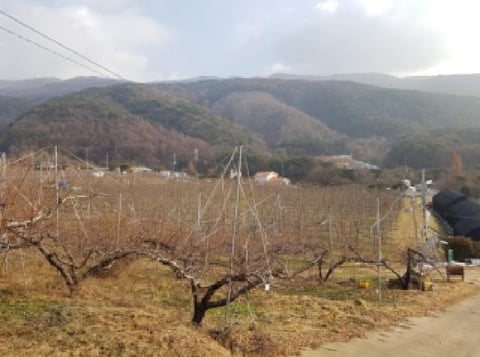 물건 사진 24