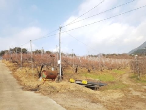 물건 사진 33