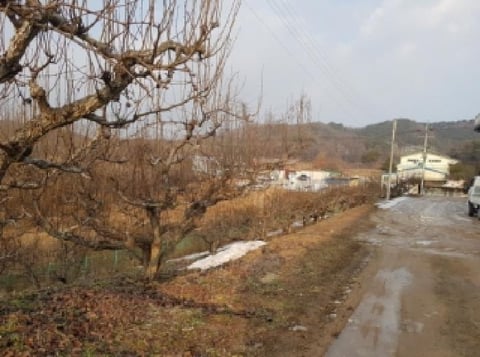 물건 사진 54