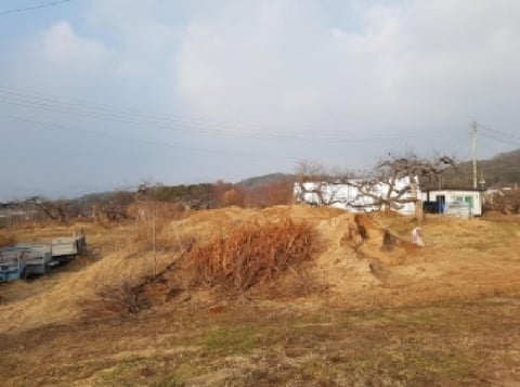 물건 사진 61