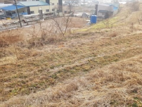물건 사진 1
