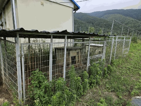 물건 사진 121