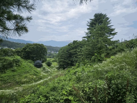 물건 사진 143