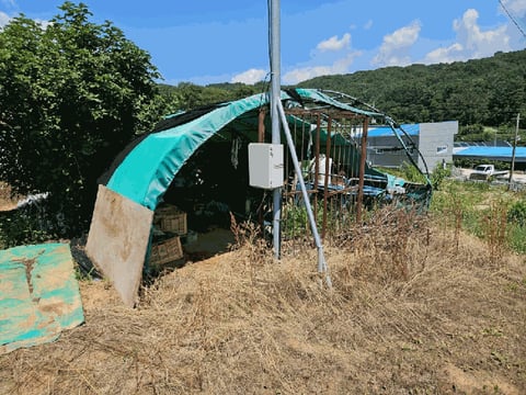 물건 사진 173