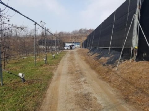 물건 사진 27