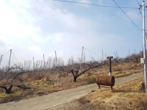 물건 사진 32