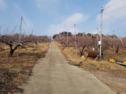 물건 사진 34