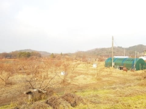 물건 사진 53
