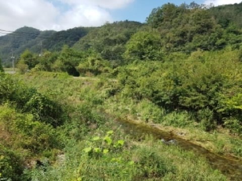 물건 사진 15