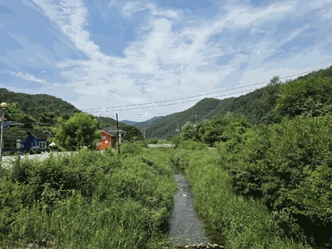 물건 사진 50