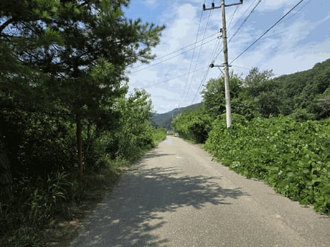 물건 사진 65