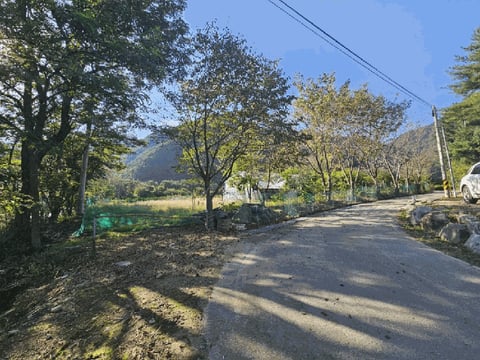 물건 사진 14
