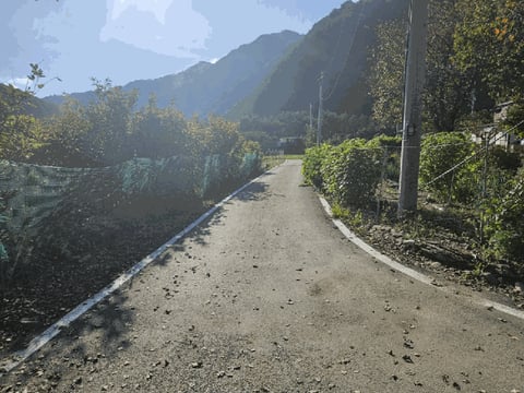 물건 사진 15