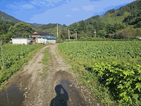물건 사진 20