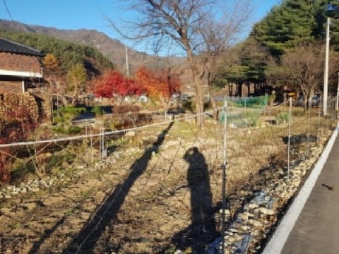 물건 사진 5